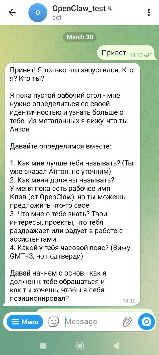 Скриншот переписки с OpenClaw через бот в Телеграме