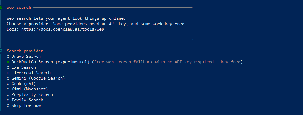 Скриншот выбора поискового движка для OpenClaw