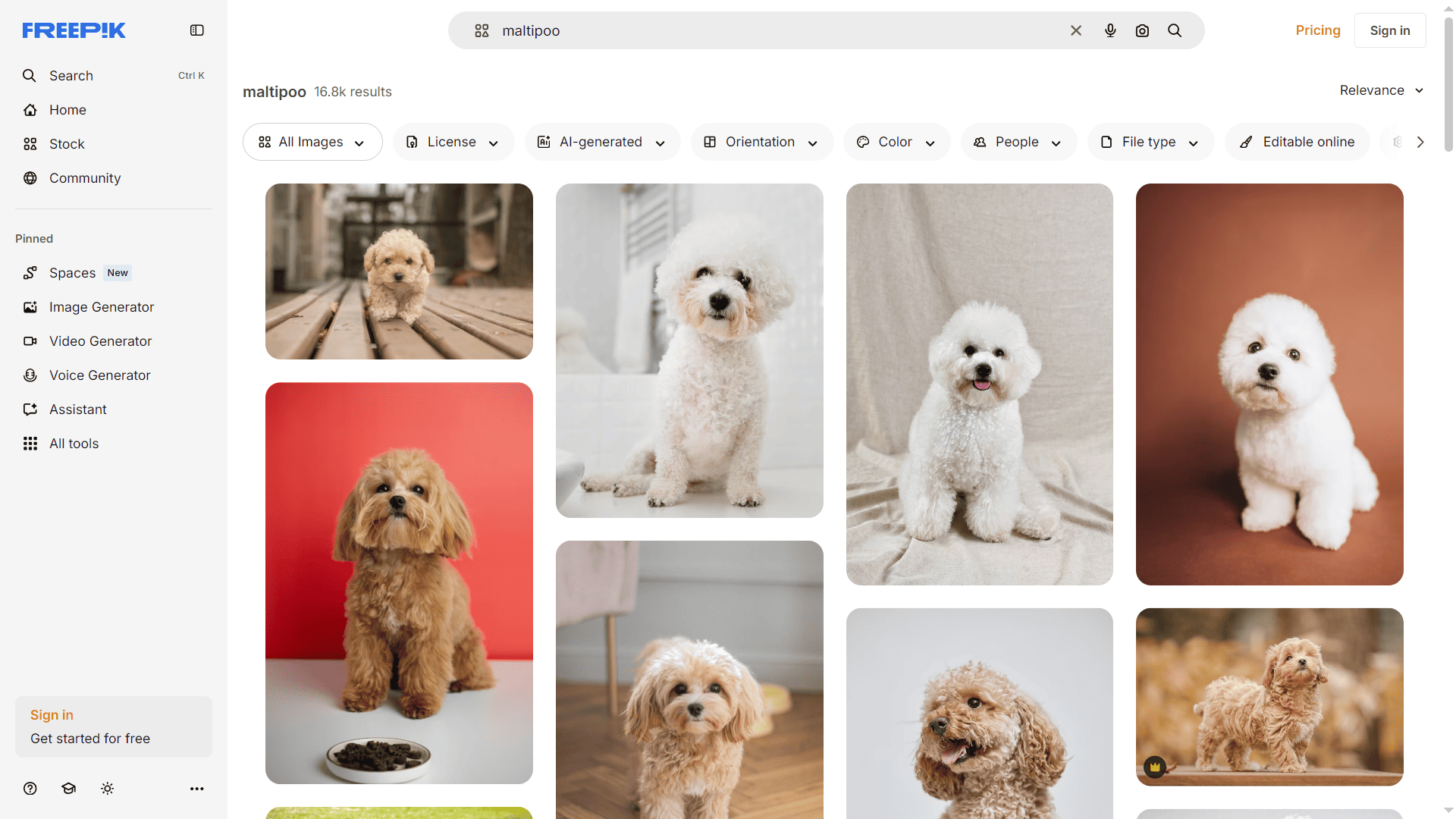 Скриншот поисковой выдачи на сайте Freepik