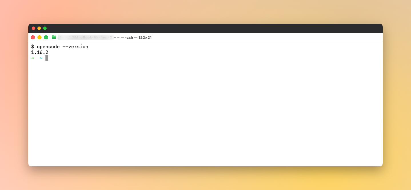 Скриншот работы с OpenCode через PR-CY API